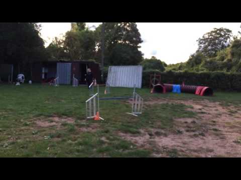 Balin & Franzi Training 08.10.2016 💪