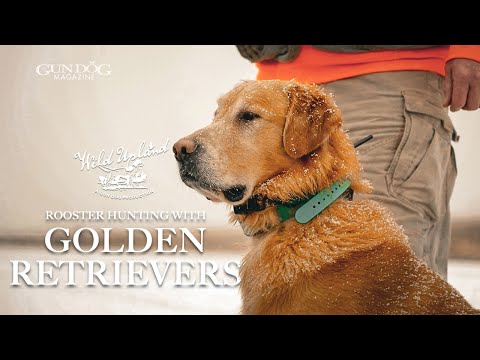 Gun Dog Magazine and Leupold Optics