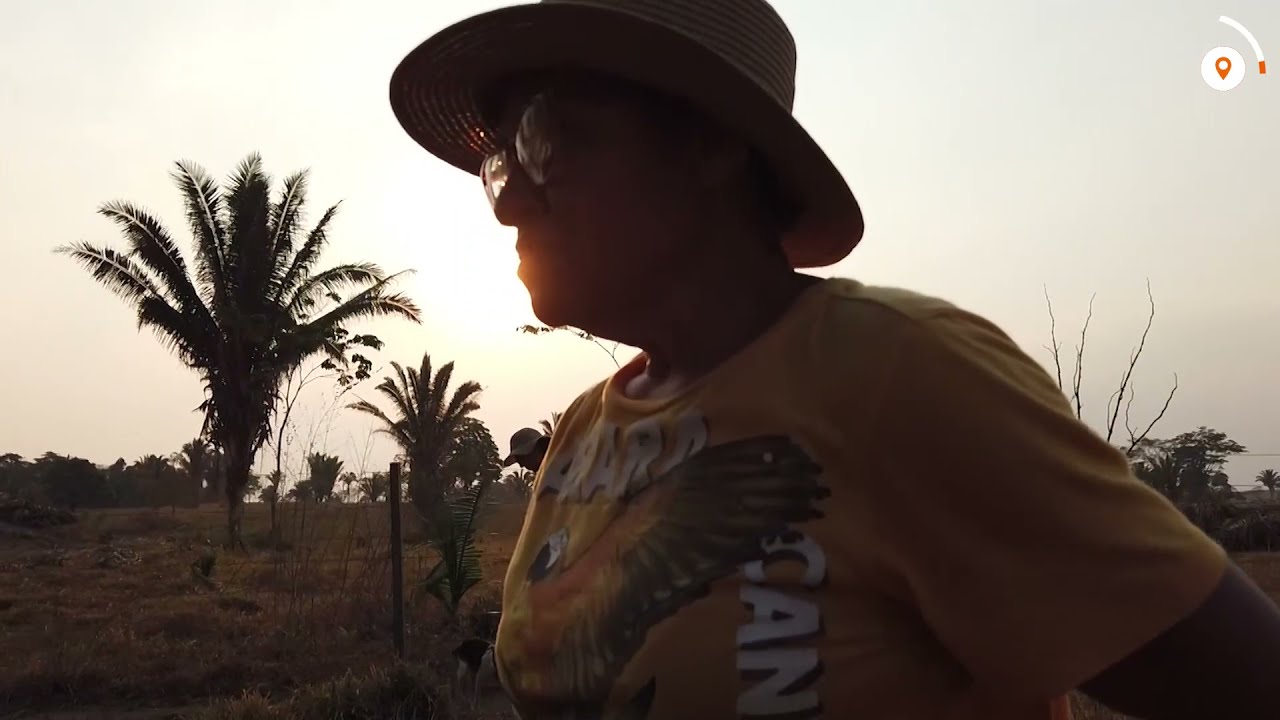 The Amazon's little tipping points