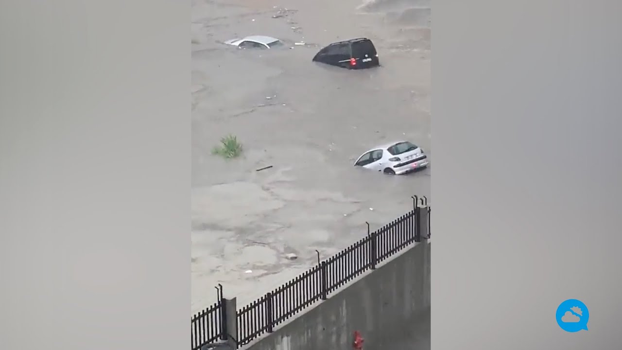 youtube video id=h2G4FIGCF2Y