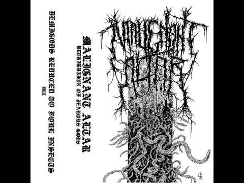 Retribution of Jealous Gods but it's a Dobber Beverly drum solo