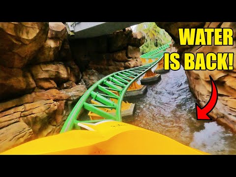 Front row point of view footage of Cheetah Hunt