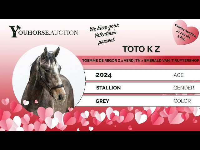 Toto K Z