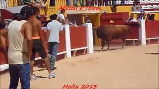 preview picture of video 'Melhores Momentos das Largadas de Toiros pela Feira Taurina 2013 na Moita'