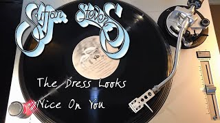 Sufjan Stevens - The Dress Looks Nice On You - [HQ Rip] Vinyl LP