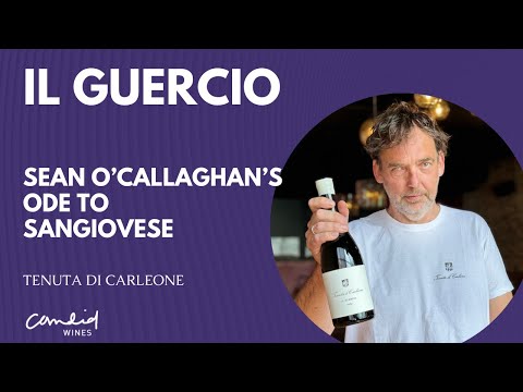 Il Guercio, Tenuta Di Carleone