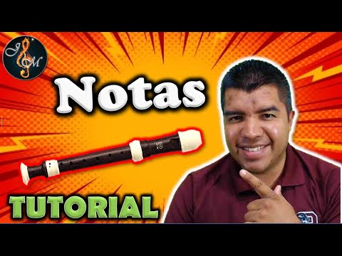 How to play the notes on a recorder (Beginners)