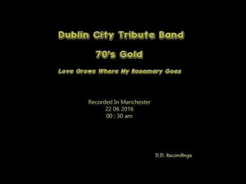 Love Grows Where My Rosemary Goes Dublin City Tribute Band m4a