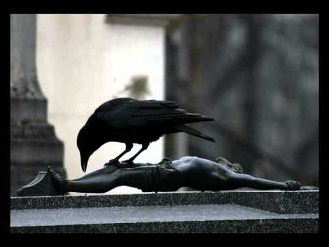 Ratek, Rimas & Truji - Free02