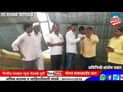 सांगवडे गावात बिबट्यांची दहशत; प्रशासनाचे दुर्लक्ष, ग्रामस्थ भयभीत