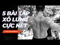 Buổi tập KÉO XÀ không dùng tạ và kết quả lạ lắm - Làng Hoa Workout