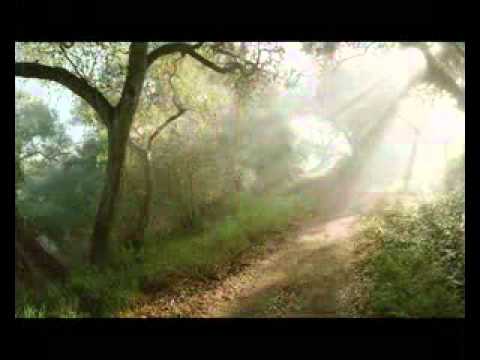 Unico Amor Juan Salinas Band.mpg