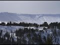 Cooke City Weekly Update 7 Feb 2025