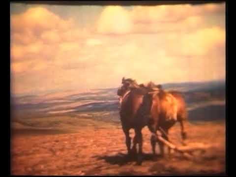 Las bòrias de la ribièira