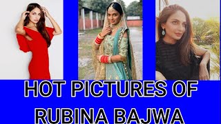 HOT PICTURES OF RUBINA BAJWA
