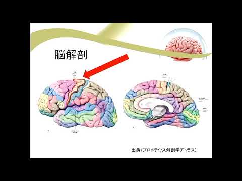 医療福祉学部紹介