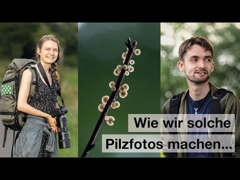 PILZE und EULEN fotografieren - Naturfotografie im Herbst [mit ND2-400 #kfconcept]