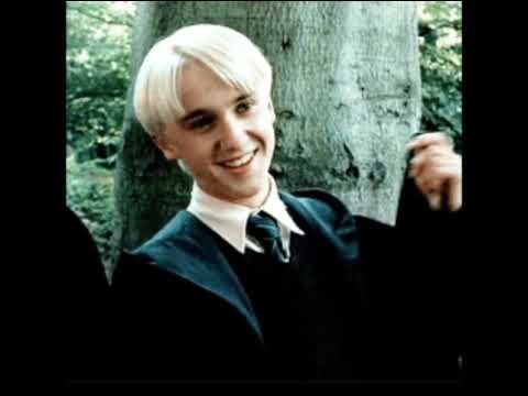 My favorite Harry Potter person: