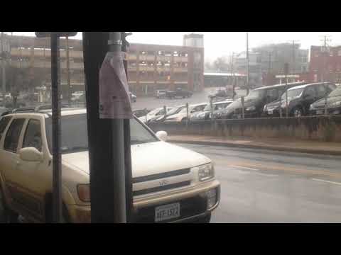 Rare snow in Charlottesville Virginia  with snowstorm benji