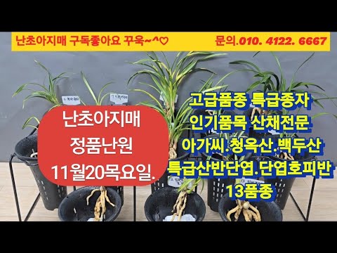 유튜브 썸네일