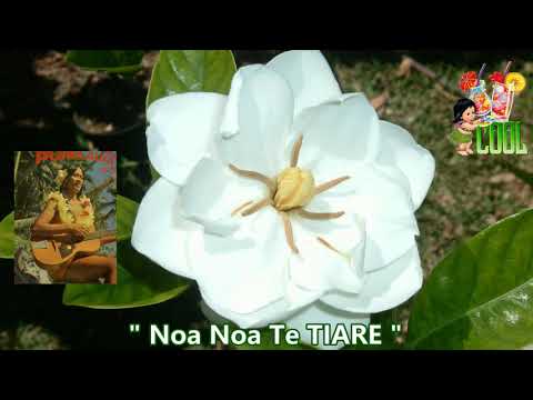 "Noa noa te Tiare Taina" - TAHITI Rétro Bringue .