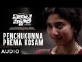 Penchukunna Prema Kosam Song VirataParvam Rana Daggubati Sai Pallavi Venu Udugula Suresh Bobbili