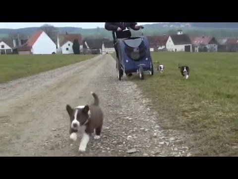 G- litter of Silent Storm... "the big world"