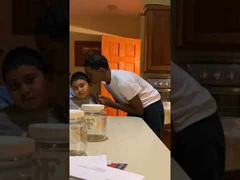 #QUEENZKIDS - QUEENZFLIP'S SON NEEKO ATTACKS OLDER BROTHER & SISTER BECAUSE OF FORTNITE