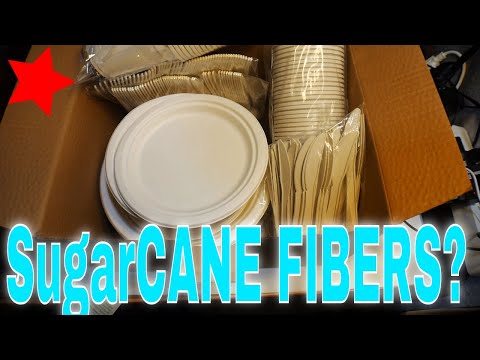 3rd YouTube video about are paper plates compostable