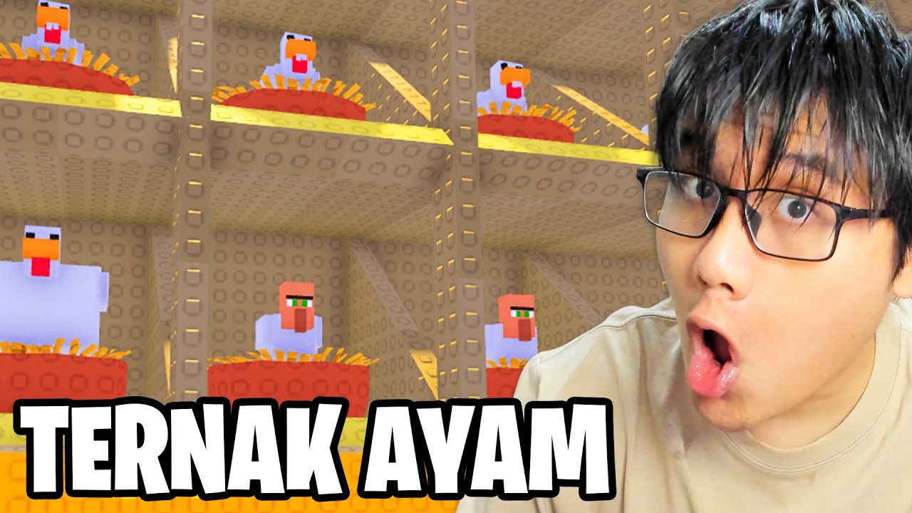 AKU TERNAK RIBUAN AYAMKU SENDIRI!!!