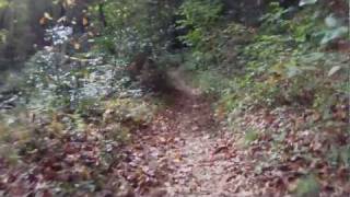 preview picture of video 'Cove Creek Connector Trail, Pisgah Forest, NC'