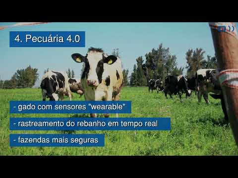 5 aplicações práticas de Internet das Coisas (IoT) na Indústria Agropecuária - WEG Digital Solutions