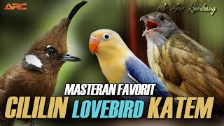 Download lagu KAPAS TEMBAK GACOR - CILILIN - LOVEBIRD mp3