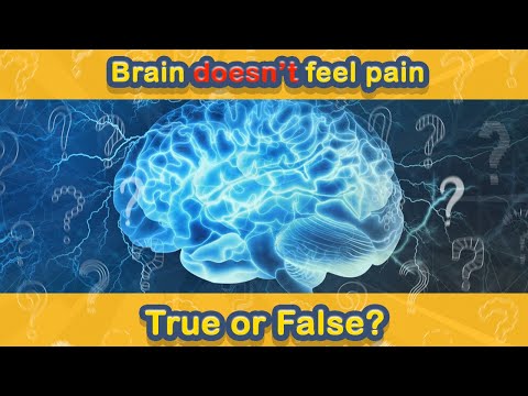Test YOUR Brain In This General Knowledge True OR False Quiz No. 47