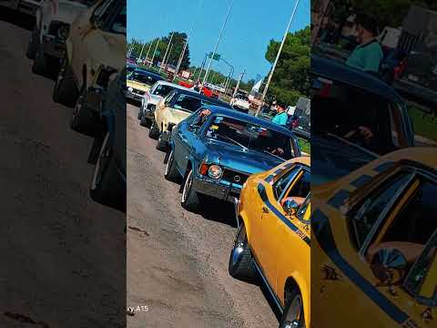 Mas del viaje a Arrecifes.