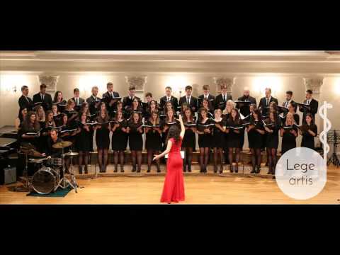 Lege artis - Čežnja (Vice Vukov)