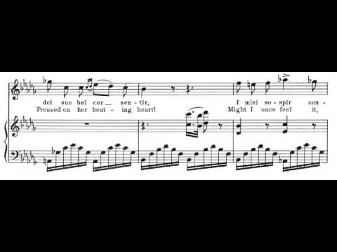 Una furtiva lagrima (L'elisir d'amore - G. Donizetti) Score Animation