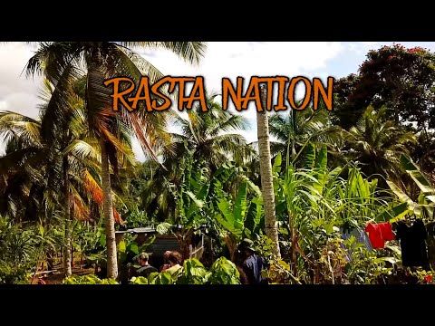 RASTA NATION [Official Video] Colah Colah & Peace Development Crew