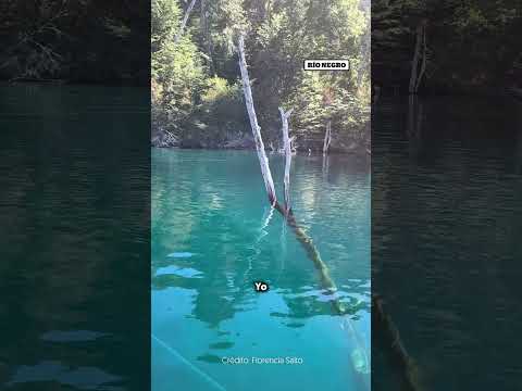 Navegación al Bosque Sumergido una experiencia única en Villa Traful