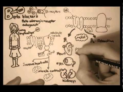 Nociceptors An Introduction to Pain