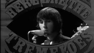 The Tremeloes - I Shall Be Released (1969)