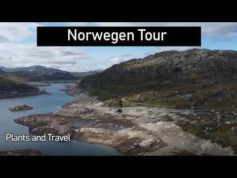 #8 Norwegen Nordkap Lofoten Tour, Skjervefossen, Låtefossen, Reiarsvossen, Vinje, Kristiansand