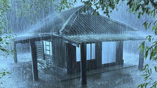 A Good Night's Sleep with Torrential Rain & Terrible Thunder on the Rickety Metal Roof in Rainforest