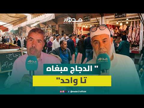 الإقبال على الغنمي يُضعف الطلب على الدجاج والأسعار تنخفض لأدنى المستويات