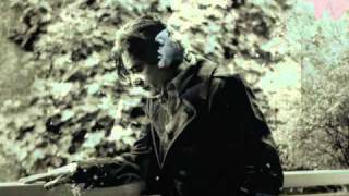 ALAIN BASHUNG Samuel Hall