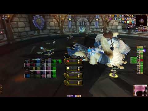 Realm First! Grand  Crusader - ToGC - Holy Paladin POV - Last Resort