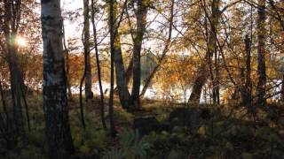 Thalamus "Eleven maids"