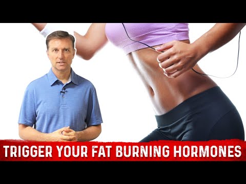 The Ultimate Fat Burning Guide Dr Berg s Webinar on Maximum Weight Loss