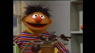 Sesame Street - Little Plant (German)