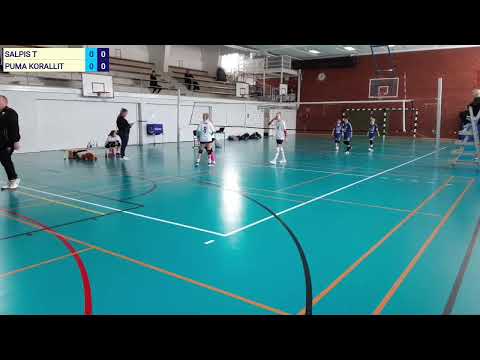 Salpis T - PuMa Korallit, D-tiikerisarja Imatra 11.3.2023